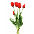 Élethű gumi tulipán csokor - piros