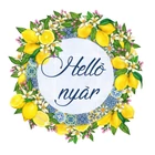 NYÁR NYÁR