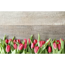 Fotóháttér - tulipánok fa deszkákon - 40cm x 60cm