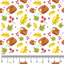 Mintás barkácsfilc méteráru DARAB - őszi sünis