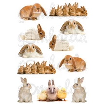 Mintás barkácsfilc - igazi nyuszik