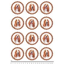 Mintás barkácsfilc - basset hound - körben