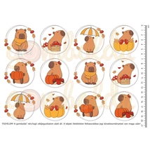 Mintás barkácsfilc - capybara - őszi körök