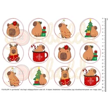 Mintás barkácsfilc - capybara - karácsonyi körök