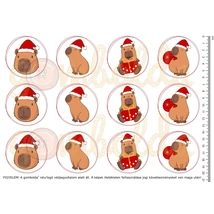 Mintás barkácsfilc - capybara - mikulás sapkás körök