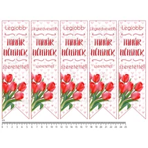 Mintás barkácsfilc - könyvjelző - Tanár néninek - tulipános