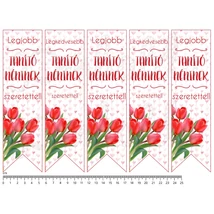 Mintás barkácsfilc - könyvjelző - Tanító néninek - tulipános Mintás barkácsfilc - könyvjelző - Tanító néninek - tulipános
