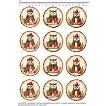 Mintás barkácsfilc - karácsonyi baglyok faszeleteken - kicsi