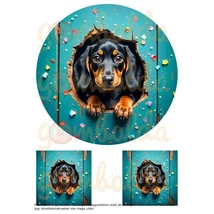 Mintás barkácsfilc - hímzőkeretes kukucskáló tacskó