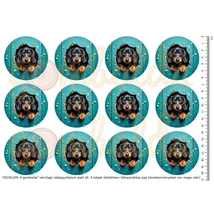 Mintás barkácsfilc - kukucskáló tacskó - kicsi körök Mintás barkácsfilc - kukucskáló tacskó - kicsi körök