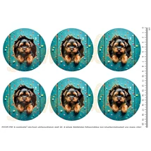 Mintás barkácsfilc - kukucskáló yorki - nagy körök Mintás barkácsfilc - kukucskáló yorki - nagy körök