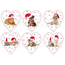 Mintás barkácsfilc - karácsonyi kutyák cicák