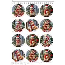 Mintás barkácsfilc - téli mókusok - kicsi kör Mintás barkácsfilc - téli mókusok - kicsi kör