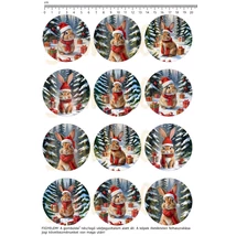 Mintás barkácsfilc - téli nyuszik - kicsi kör Mintás barkácsfilc - téli nyuszik - kicsi kör