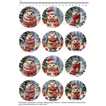 Mintás barkácsfilc - téli sünik - kicsi kör Mintás barkácsfilc - téli sünik - kicsi kör