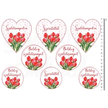 Mintás barkácsfilc - tulipános születésnapi ív Mintás barkácsfilc - tulipános születésnapi ív