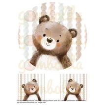 Mintás barkácsfilc - hímzőkeretes erdei állat portré - maci