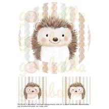 Mintás barkácsfilc - hímzőkeretes erdei állat portré - süni