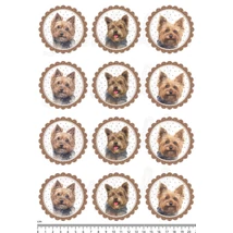 Mintás barkácsfilc - yorki kutyusok - körben