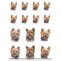 Mintás barkácsfilc - yorki kutyusok - vegyes méret