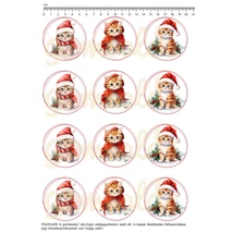 Mintás barkácsfilc - bűbáj téli cica kölykök - kicsi kör