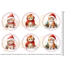 Mintás barkácsfilc - bűbáj téli cica kölykök - nagy kör