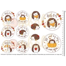 Mintás barkácsfilc - cuki sünik - helló ősz Mintás barkácsfilc - cuki sünik - helló ősz