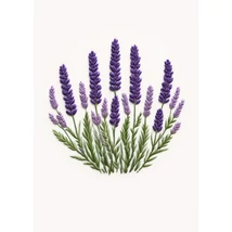 Mintás barkácsfilc - hímzett levendula hímzőkeretbe Mintás barkácsfilc - hímzett levendula hímzőkeretbe