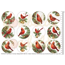 Mintás barkácsfilc - kardinálispintyek körben - kicsi Mintás barkácsfilc - kardinálispintyek körben - kicsi