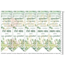 Mintás barkácsfilc - könyvjelző - Kezemben egy csokor virág - Óvó néni dadus néni - pozsgások