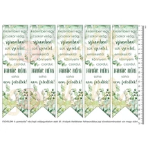 Mintás barkácsfilc - könyvjelző - Kezemben egy csokor virág - Tanár néni - pozsgások