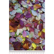 Mintás barkácsfilc - színes avar