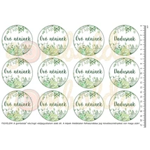 Mintás barkácsfilc - óvó néninek dadusnak kör - pozsgások Mintás barkácsfilc - óvó néninek dadusnak kör - pozsgások