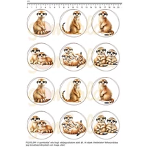 Mintás barkácsfilc - szurikáták - kicsi kör