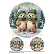 Mintás barkácsfilc - hímzőkeretes téli állatok fa alapon - zöld - macik