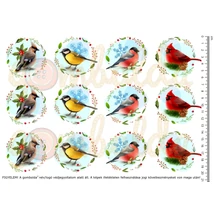 Mintás barkácsfilc - téli madárkák koszorúkban